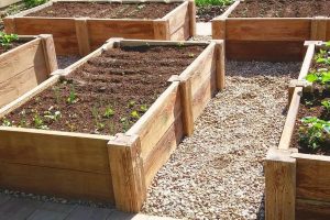 photo_2021-12-01_18-20-551