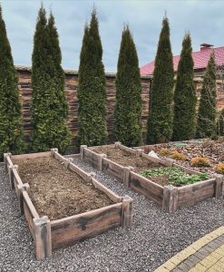 photo_2024-04-19_21-30-55 грядки