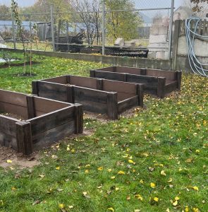 photo_2024-04-19_21-32-18 грядки