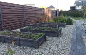 photo_2024-04-19_21-33-13 грядки