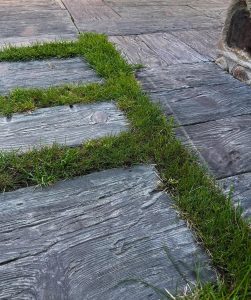 photo_2024-04-19_22-36-18болотная