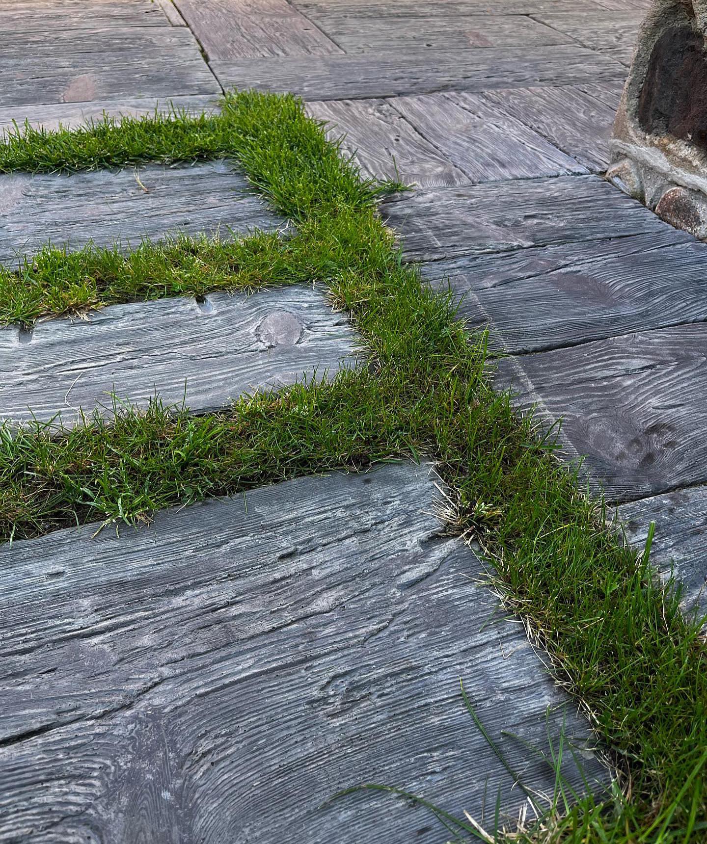 photo_2024-04-19_22-36-18болотная